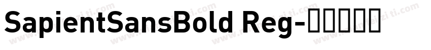 SapientSansBold Reg字体转换